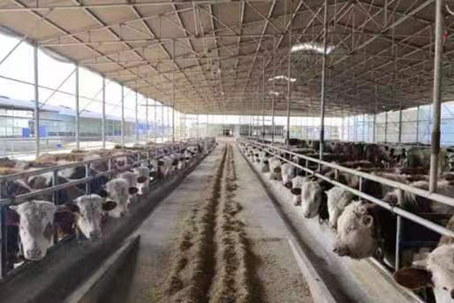 種植棚，養(yǎng)殖棚